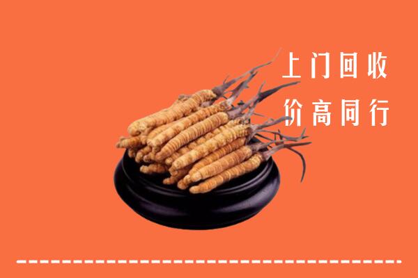 高价求购：乌海海勃湾区回收散虫草