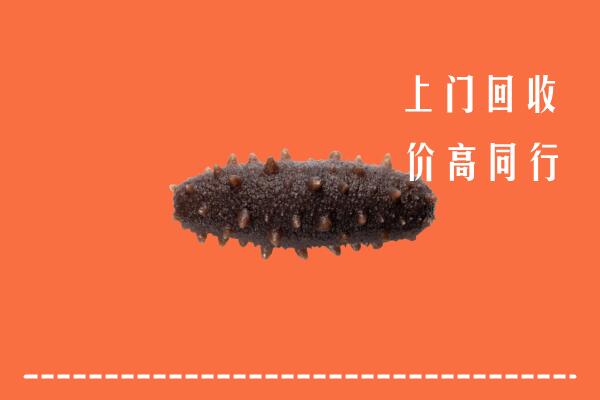 高价求购：乌海海勃湾区回收海参
