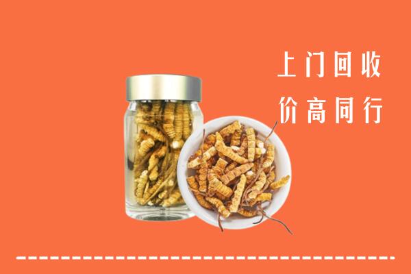 乌海海勃湾区回收冬虫夏草